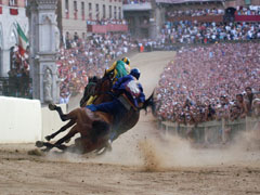 The Florentine- Palio