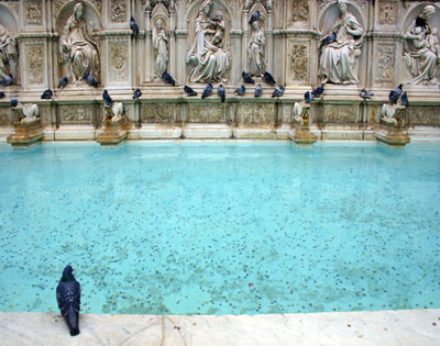 Siena-Fountain