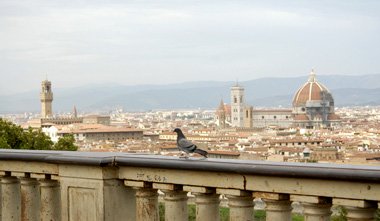 Florence Piazzas-View from Piazzale Michelangelo